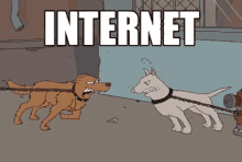 Internet Reality GIF - Internet Reality Dog GIFs