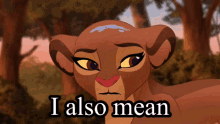I Also Mean You And Me The Lion Guard GIF - I Also Mean You And Me The Lion Guard Rani GIFs