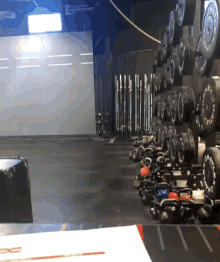 Weights Plates GIF - Weights Plates Fitness Goals GIFs