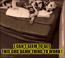 Dogs Puppies GIF - Dogs Puppies Milk GIFs