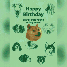 Dogecoin Happy Birthday GIF - Dogecoin Happy Birthday Birthday GIFs