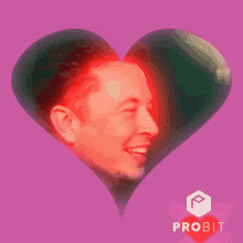 Elon Musk Doge GIF