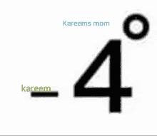 Kareemsmom GIF - Kareemsmom GIFs