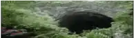 a black bear is walking through a hole in the grass .