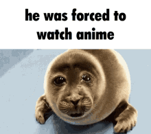 He Was Forced To Watch Anime Anime Sucks GIF