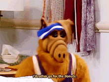Alf Id Rather Go For The Donuts GIF - Alf Id Rather Go For The Donuts Donuts GIFs