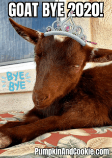 bye 2020 goats cutest 2021