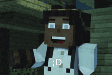 a minecraft character with a white shirt that says ' d ' on it
