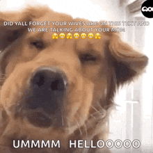 a dog with a caption that says " did yall forget your wives are on this text "