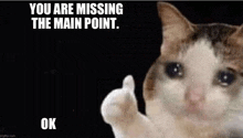 Missing The Main Point GIF - Missing The Main Point Missing Main Point GIFs
