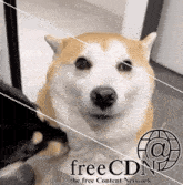 a picture of a dog with the words freecdn the free content network