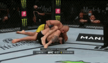 mma mixed martial arts ultimate fighting championship fight