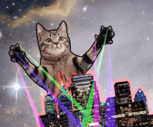 Dank Cat GIF - Dank Cat Space GIFs