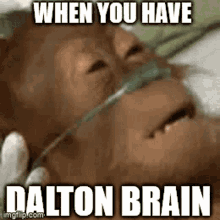 Dalton Daltotheman GIF - Dalton Dalto Daltotheman GIFs