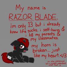 a drawing of a pony with the words " my name is razor blade " on it