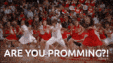 a group of cheerleaders are dancing in front of a crowd with the words are you promming