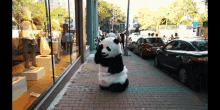 Panda Yatıp Yuvarlanma GIF - Panda Yatıp Yuvarlanma GIFs