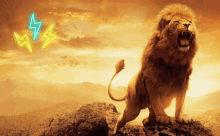 ImgflipNews aslan quote Memes & GIFs - Imgflip