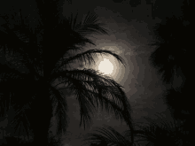 Moon Lunar GIF