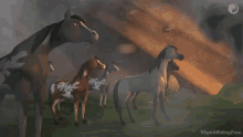 Oh No Horse GIF - Oh No Horse Whats Happening GIFs