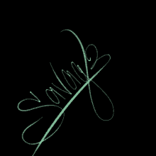 Handwriting Cursive GIF