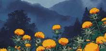 a bunch of yellow flowers are growing in a field with mountains in the background