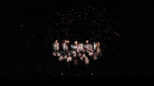 Pyroworks Fireworks GIF - Pyroworks Fireworks Fireworks Mania GIFs