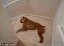 Monday Morning Lets Do This GIF - Monday Morning Lets Do This Lazy GIFs