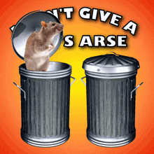 Could Not Care Less Give A Rat'S Arse GIF - Could Not Care Less Give A Rat'S Arse Don'T Care GIFs