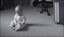 Coming Through, Move It. GIF - Baby Dogs Clothes Lined GIFs
