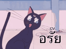 อรั๊ย แมวเขิน GIF - Cat Blush Sailormoon GIFs