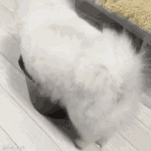 a black bucket filled with white cotton candy is sitting on a wooden floor .