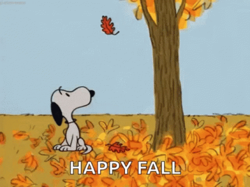 Happy Fall GIFs | Tenor