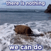 a dog is swimming in the ocean with the words " there is nothing we can do " above it