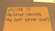 a sign that says welcome to silly server obviously the best server ever on it