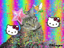 Cat Blingee GIF - Cat Blingee GIFs