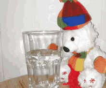 Polar Bear Water GIF - Polar Bear Water Thirsty GIFs