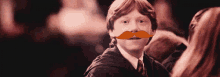 Harry Potter GIF - Harry Potter Ron GIFs