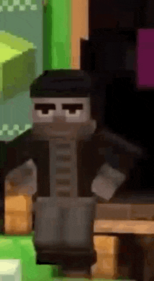 a minecraft character is standing in front of a computer screen .