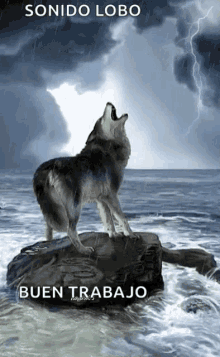 Lobo Wolf GIF - Lobo Wolf GIFs