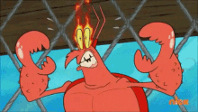Un Cangrejo Se Arranca Los Ojos GIF - Fuego Crab Pecadora GIFs