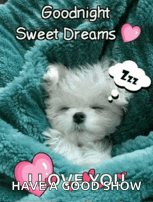 a puppy is sleeping under a blanket with the words goodnight sweet dreams i love you have a good show below it