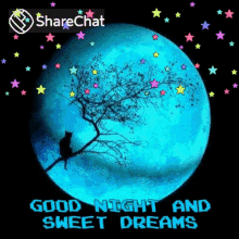 Good Night And Sweet Dreams शुभरात्रि GIF