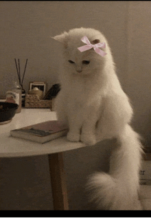 a white cat with a pink bow on its head sitting on a table