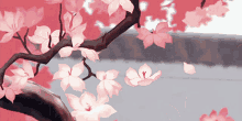 Sakura Anime GIF