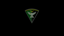 a black background with a green triangle with an eagle on it and the words po nas neprijde uz nikdo