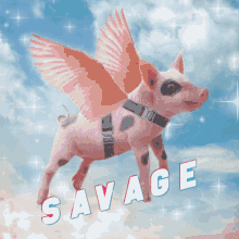 Savage When Pigs Fly GIF - Savage When Pigs Fly Pigs GIFs