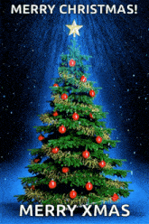 a merry christmas card with a christmas tree and a star on top