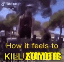 Kill Zombie GIF - Kill Zombie GIFs