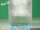 a glass filled with ice and the words " ice cold " below it